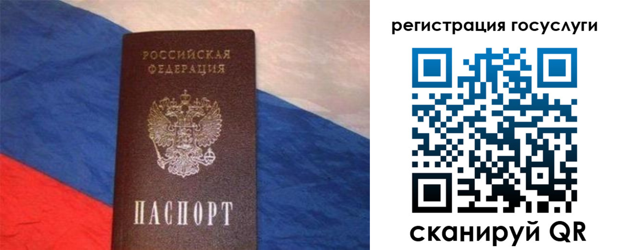 временная регистрация гарантия в Приморском крае